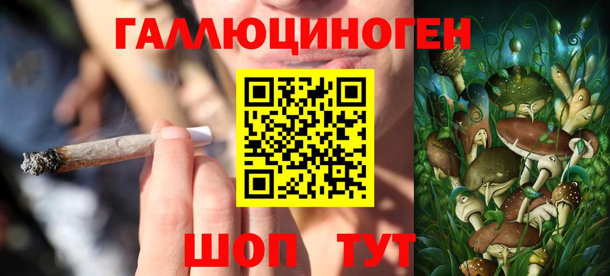 Галлюциногенные грибы Cubensis Сертолово