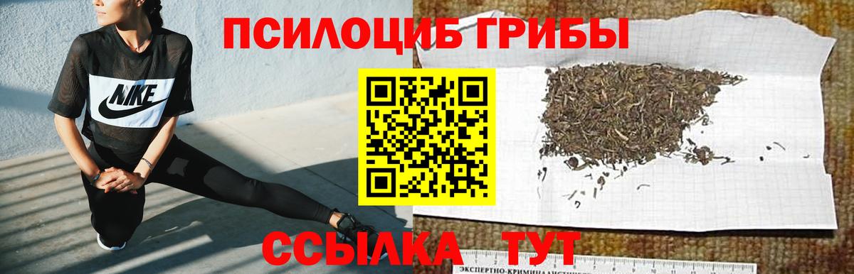 Сертолово  Галлюциногенные грибы мухоморы  Вход с VPN 